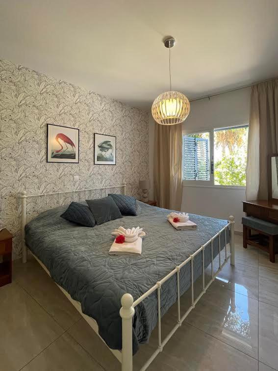 Apartmán Timeless Cyprus Paphos Exteriér fotografie