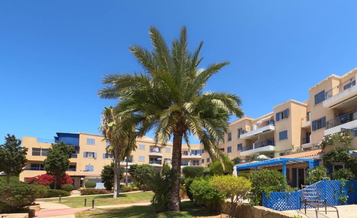 Apartmán Timeless Cyprus Paphos Exteriér fotografie